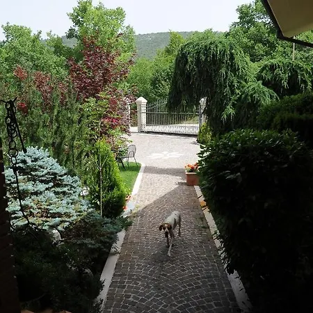 Guest house Fule